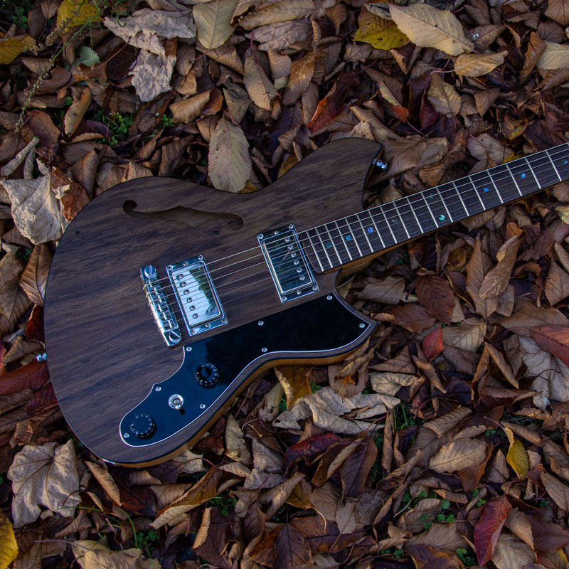 Puriri Top Guitar Build